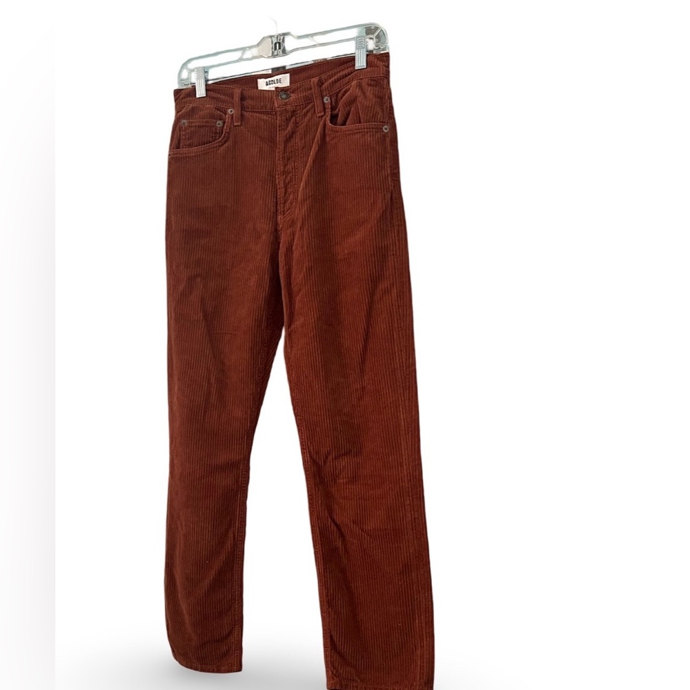 Agolde Brown Corduroy Pants